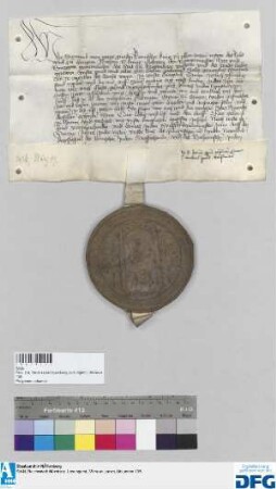 König Sigismund befiehlt der Stadt Nürnberg, die Reichssteuer für 1429 seinem Hofmeister, dem Grafen Ludwig zu Otingen, auszubezahlen und stellt darüber Quittung aus.