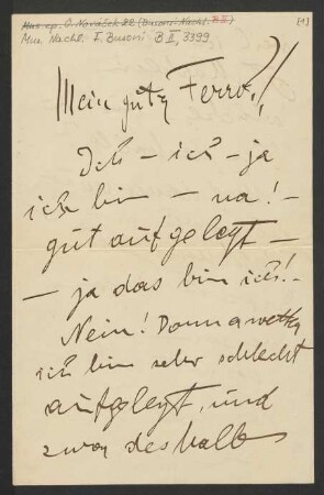 Brief an Ferruccio Busoni, 29.07.1896