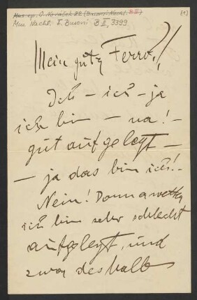 Brief an Ferruccio Busoni, 29.07.1896