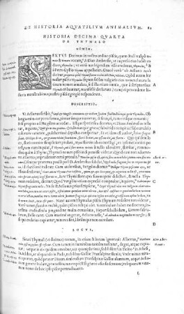 Historia Decima Quarta. De Thymalo