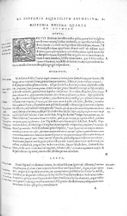 Historia Decima Quarta. De Thymalo