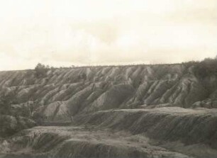 Oberlausitzer Niederung. Erosionsrinnen an einer Halde der Braunkohlengrube Werminghoff