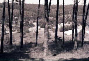 Grunewald: Landschaft bei der Sprungschanze