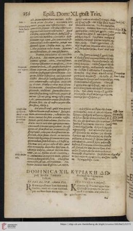 Dominica XII. post Sanctæ Trinitatis Festum
