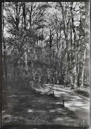 Paris, Bois de Boulogne