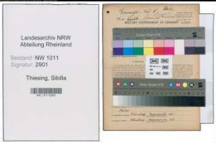Entnazifizierung Sibilla Thiesing , geb. 15.01.1890 ()