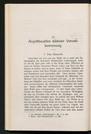 III. Angriffswaffen höchster Vervollkommnung.