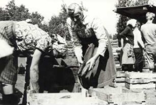 Gemüsehandel in Burg-Kauper : Land- und Viehwirtschaft - Gemüsehandel (Gärtnerei). Ort: Kuparske Bórkowy / Burg-Kauper. Gemüseannahmestelle
