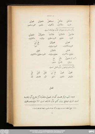 فصل [در بعضی ازاحیف دیگر]