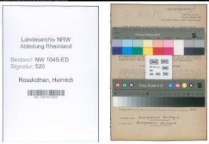 Entnazifizierung Heinrich Rosskothen , geb. 13.02.1906 (Ingenieur)