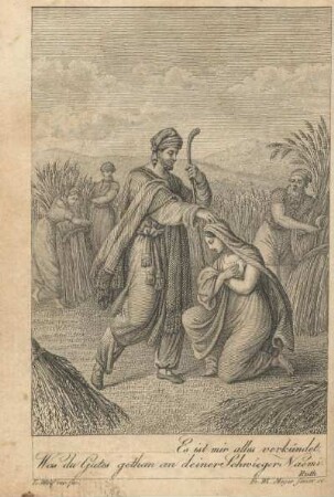 Es ist mir alles verkündet, Was du Gutes gethan an deiner Schwieger Naemi. Ruth. ; L. Wolf inv. fec. ; Fr. Wi. Meyer Senior sc.