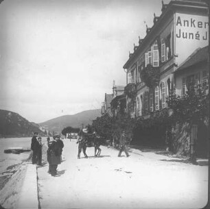 Rüdesheim-Assmannshausen. Rheinuferstraße mit Passanten und gesatteltem Maultier