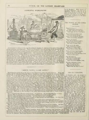 Domestic hydropathy