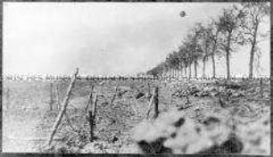 Leichen englischer Soldaten an der Straße von Arras nach Lille