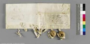 (Die Herzöge Bogislaw V., Barnim IV. und Wartislaw V. von Stettin und Pommern)