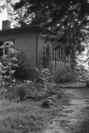 Blühender Garten am Teupitzer Wochenendhaus.