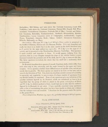 Genus Pteronites, McCoy (pars), 1844.