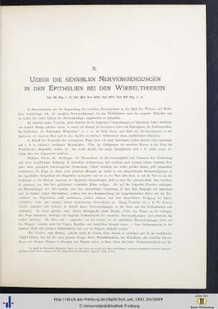 Ueber die sensiblen Nervenendigungen in den Epithelien bei den Wirbelthieren.