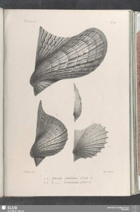 Pl. 389