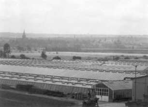 Dresden-Kaditz. Gewächshäuser der ehemaligen GPG "Nachbarschaft Kaditz". Blick nach Südsüdwest gegen die Briesnitzer Kirche (rechts: Autobahn- und Flutrinnenbrücke)
