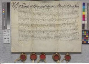 Klein-Umstadt: Original - Vergleich zwischen Pfalz, Hessen und Hanau, die nachbarlichen Irrungen zwischen den beiden Dörfern Klein-Umstadt und Kle...
