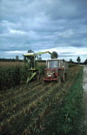 Fotografie: Ernteverfahren, Silomais, Parallelverfahren, Feldhäcksler selbstfahrend