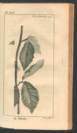 Tafel: Haagbeuke. Olm-boom. [...]