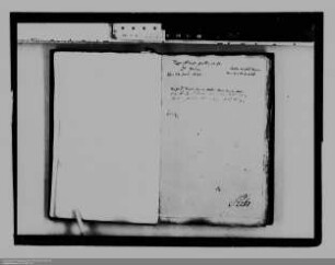 . Berichte der nassauischen Gesandten Franz Melchior und J. H. Saur vom Reichstag zu Regensburg: Band 4