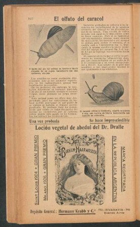 El olfato del caracol