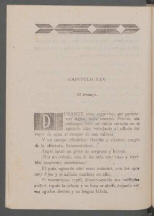 Capítulo XXV - El triunfo.