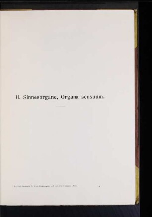 II. Sinnesorgane, Organa sensuum.