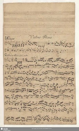 Violino Primo.