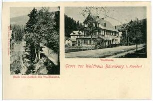 Waldhaus Bärenburg bei Kipsdorf