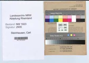 Entnazifizierung Carl Steinhausen , geb. 11.03.1892 (Angestellter)
