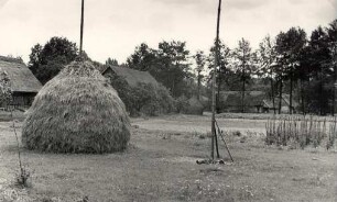 Spreewaldlandschaft in Burg-Kolonie : Błótowska krajina w Prizarskich Bórkowach