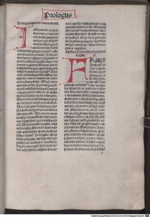 Mammotrectus super bibliam