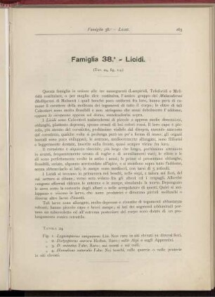 Famiglia 38. - Licidi. [bis] Famiglia 47. - Curculionidi.