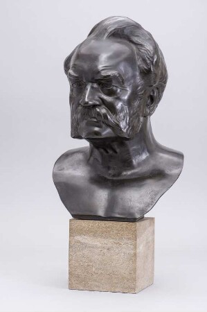 Porträt Werner von Siemens