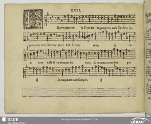 XVII Legem pone mihi Domine