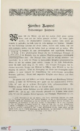 Fünftes Kapitel: Beidarmiges Zeichnen