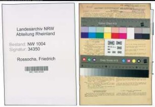 Entnazifizierung Friedrich Rossocha , geb. 18.06.1881 (Postbetr.Assistent)