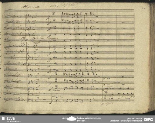 No. 8 Arie: "In des Todes Angesicht"