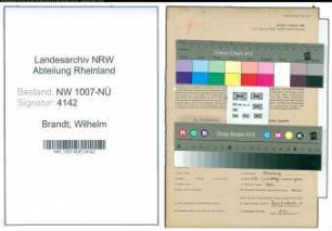 Entnazifizierung Wilhelm Brandt , geb. 25.06.1899 (Maurer)