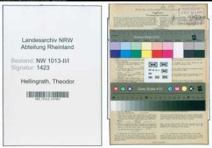 Entnazifizierung Theodor Hellingrath , geb. 05.02.1911 (Waermetechniker)