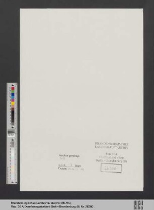 Metzger-Lattermann, Ottilie
