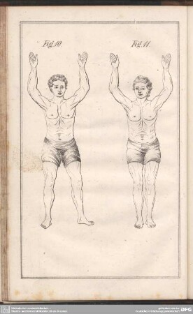 Fig. 10. Fig. 11