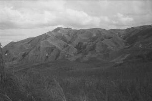 Zerschluchtetes Gelände : Berglandschaft mit Vegetation