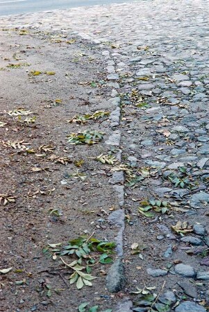 Fritz-Berodt-Straße: Fahrbahn mit Pflasterung: Detailaufnahme mit Fahrbahnrand: hinten Einmündung in Straße