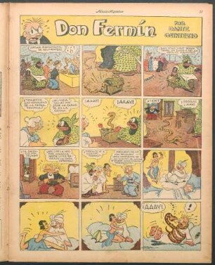 Don Fermín [Cómic]