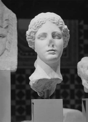 Kopf der Aphrodite nach spätklassischem Orginal